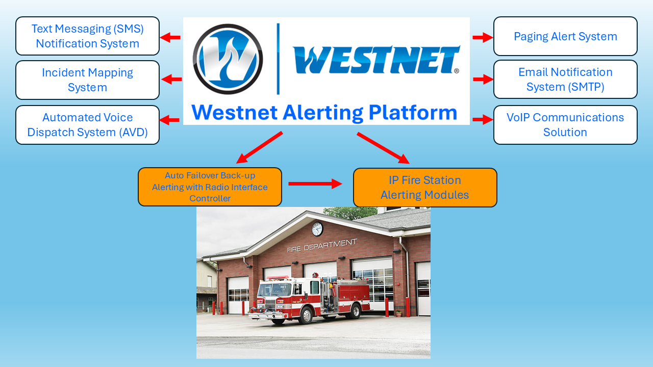 AVD Graphic Web 1